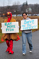 Save the Turkey!